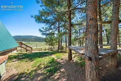 5463 High Park Road, Florissant, CO 80816 - Photo 31