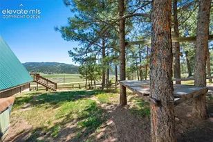 5463 High Park Rd, Florissant, CO 80816 - Photo 31