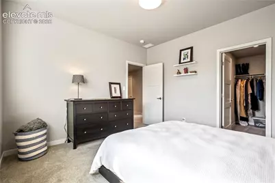 10667 Derby Mesa Court, Colorado Springs, CO 80924 - Photo 39