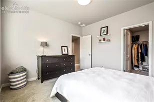 10667 Derby Mesa Ct, Colorado Springs, CO 80924 - Photo 39