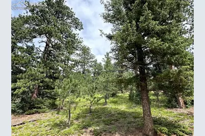 116 Happy Valley Road, Manitou Springs, CO 80829 - Photo 7