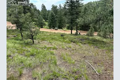 116 Happy Valley Road, Manitou Springs, CO 80829 - Photo 15