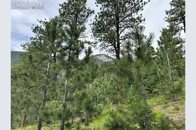 116 Happy Valley Road, Manitou Springs, CO 80829 - Photo 5