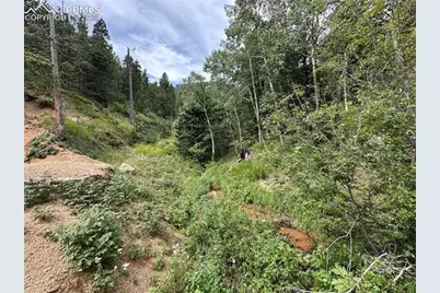 116 Happy Valley Road, Manitou Springs, CO 80829 - Photo 9