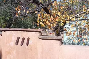 111 Crystal Park Rd, Manitou Springs, CO 80829 - Photo 45