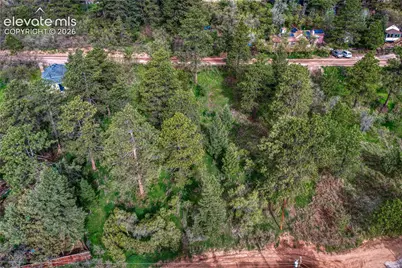 Buena Vista Avenue, Palmer Lake, CO 80133 - Photo 5