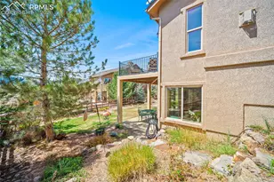 13253 Crane Canyon Loop, Colorado Springs, CO 80921 - Photo 47