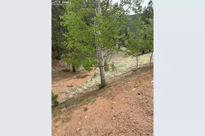 1600 Pikes Peak Drive, Divide, CO 80814 - Photo 7