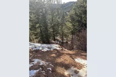 1600 Pikes Peak Drive, Divide, CO 80814 - Photo 5