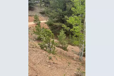 1600 Pikes Peak Drive, Divide, CO 80814 - Photo 1