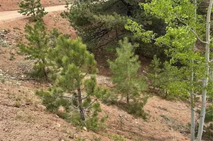 1600 Pikes Peak Dr, Divide, CO 80814 - Photo 1
