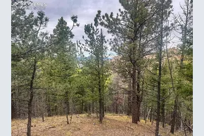 599 Dandy Jim Drive, Cripple Creek, CO 80813 - Photo 5