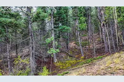 599 Dandy Jim Drive, Cripple Creek, CO 80813 - Photo 27