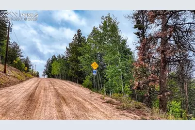 599 Dandy Jim Drive, Cripple Creek, CO 80813 - Photo 13