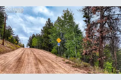 599 Dandy Jim Drive, Cripple Creek, CO 80813 - Photo 13