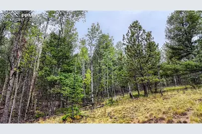 599 Dandy Jim Drive, Cripple Creek, CO 80813 - Photo 19