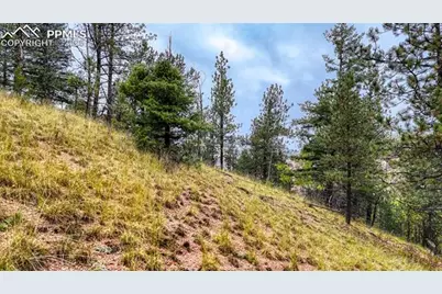 599 Dandy Jim Drive, Cripple Creek, CO 80813 - Photo 17
