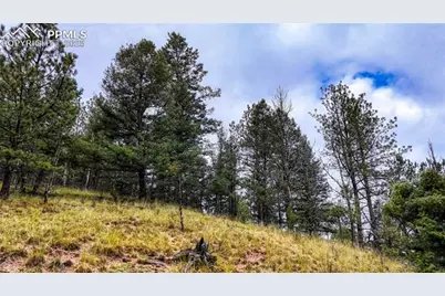 599 Dandy Jim Drive, Cripple Creek, CO 80813 - Photo 29