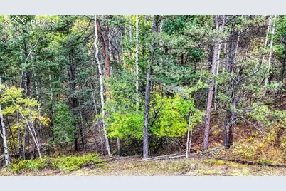 599 Dandy Jim Drive, Cripple Creek, CO 80813 - Photo 15