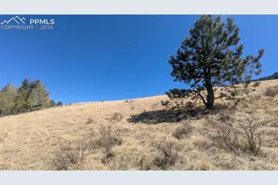 1960 Troy Drive, Cripple Creek, CO 80813 - Photo 3