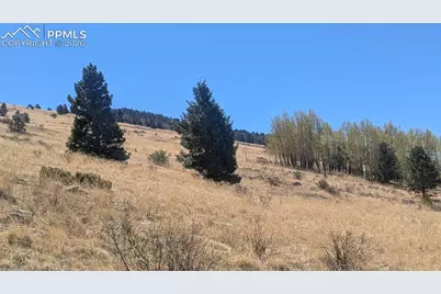 1960 Troy Drive, Cripple Creek, CO 80813 - Photo 1
