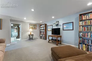 657 Spring Valley Dr, Divide, CO 80814 - Photo 27