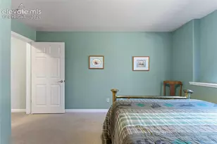 657 Spring Valley Dr, Divide, CO 80814 - Photo 31