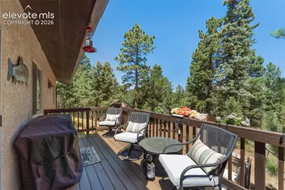 657 Spring Valley Drive, Divide, CO 80814 - Photo 35