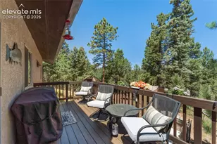 657 Spring Valley Dr, Divide, CO 80814 - Photo 35