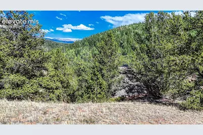 282 Fairview Drive, Cripple Creek, CO 80813 - Photo 7