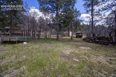 975 Tari Drive, Colorado Springs, CO 80921 - Photo 49