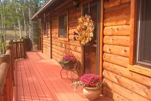 215 Valley Rd, Florissant, CO 80816 - Photo 3