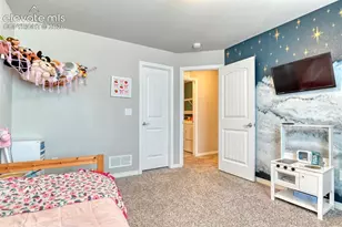 6635 Mandan Dr, Colorado Springs, CO 80925 - Photo 17