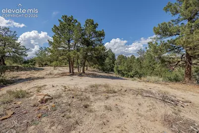 3610 Hartsock Lane, Colorado Springs, CO 80917 - Photo 15
