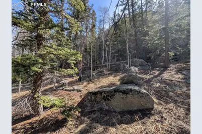 386 Brook Drive, Lake George, CO 80827 - Photo 11