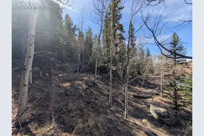 386 Brook Drive, Lake George, CO 80827 - Photo 5