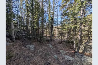 386 Brook Drive, Lake George, CO 80827 - Photo 1