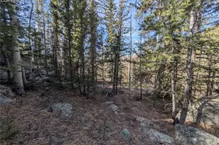 386 Brook Dr, Lake George, CO 80827 - Photo 1