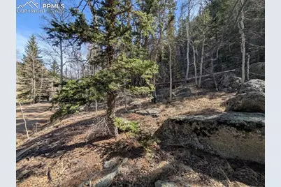 386 Brook Drive, Lake George, CO 80827 - Photo 3