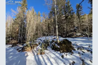 386 Brook Drive, Lake George, CO 80827 - Photo 47