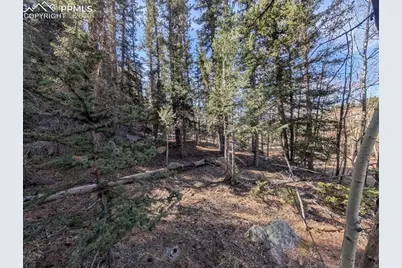 386 Brook Drive, Lake George, CO 80827 - Photo 9