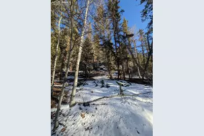 386 Brook Drive, Lake George, CO 80827 - Photo 29