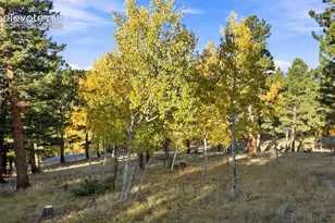 138 Valley Crest Cir, Florissant, CO 80816 - Photo 23