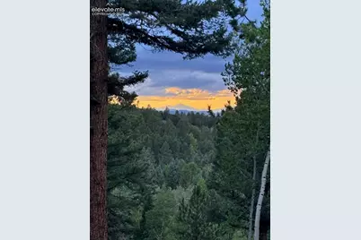138 Valley Crest Circle, Florissant, CO 80816 - Photo 27
