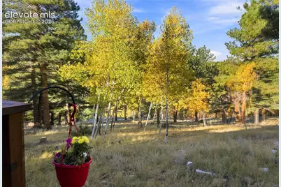 138 Valley Crest Circle, Florissant, CO 80816 - Photo 25