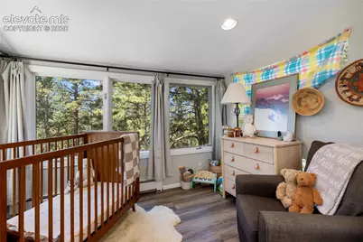 1150 Forest Hill Place, Woodland Park, CO 80863 - Photo 15