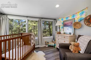1150 Forest Hill Pl, Woodland Park, CO 80863 - Photo 15