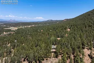 1150 Forest Hill Pl, Woodland Park, CO 80863 - Photo 37