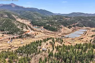 220 Rocky Mountain View, Divide, CO 80814 - Photo 1