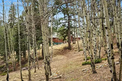 220 Rocky Mountain View, Divide, CO 80814 - Photo 27